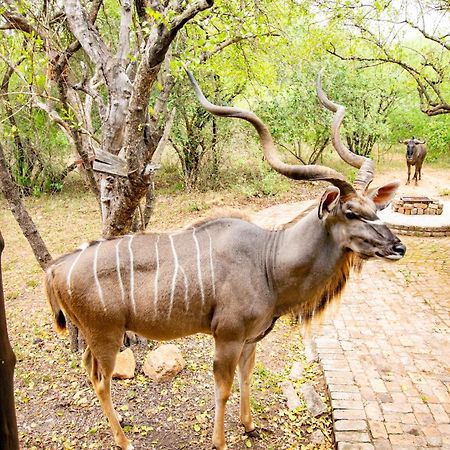 Adventure Bush House Vila Marloth Park Exterior foto