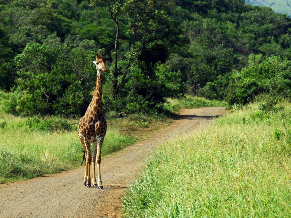 Adventure Bush House Vila Marloth Park Exterior foto