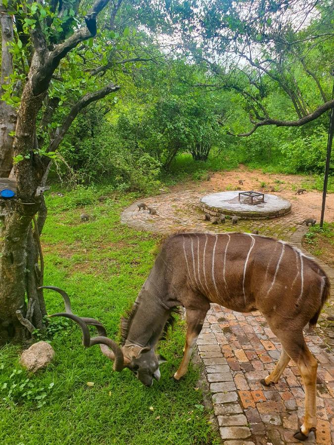 Adventure Bush House Vila Marloth Park Exterior foto