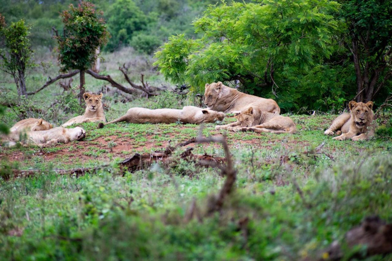 Adventure Bush House Vila Marloth Park Exterior foto