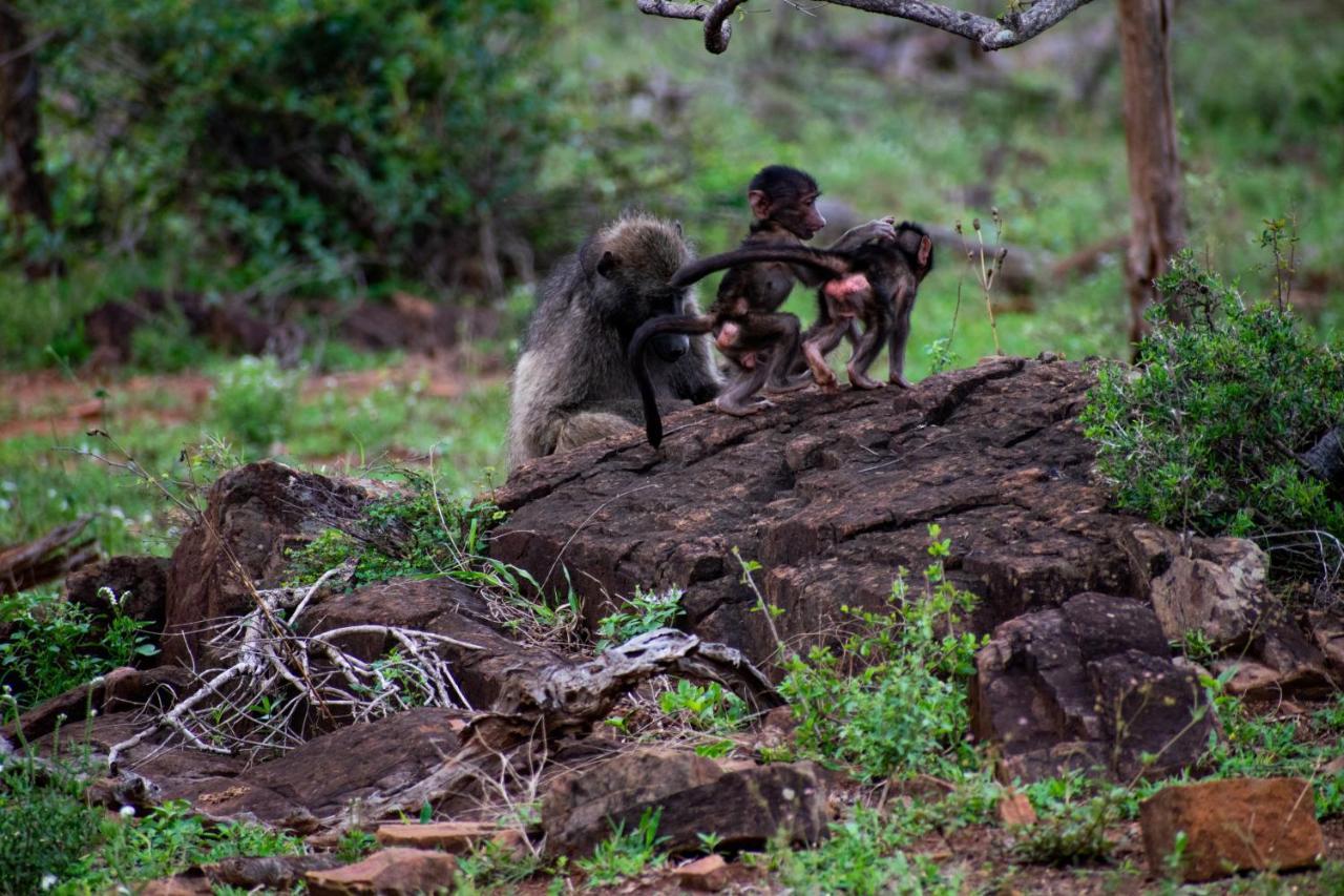 Adventure Bush House Vila Marloth Park Exterior foto