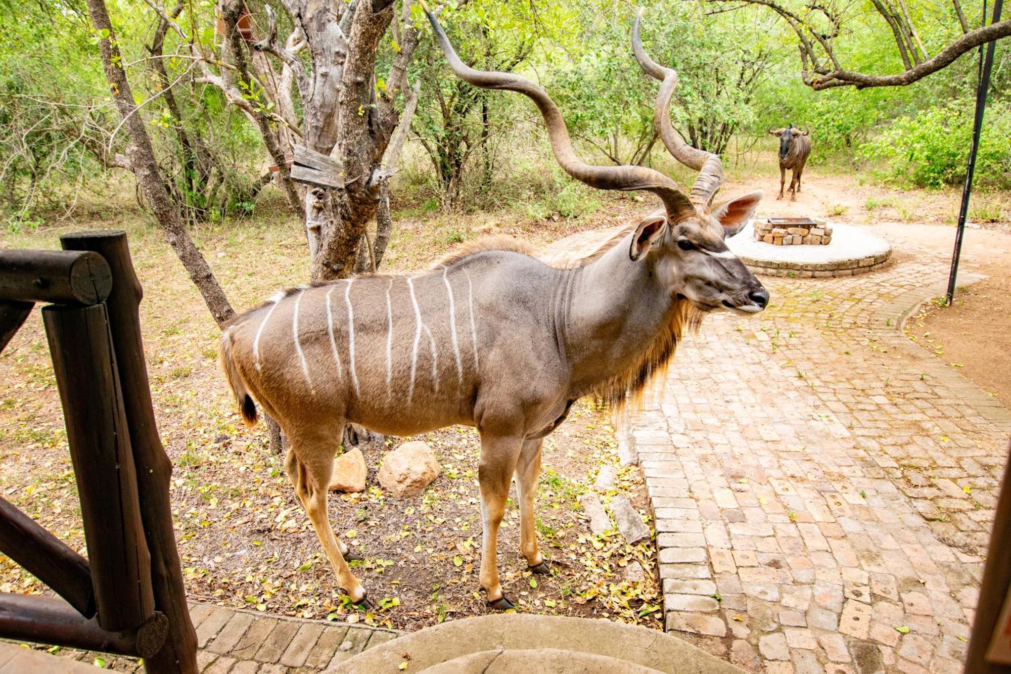 Adventure Bush House Vila Marloth Park Exterior foto