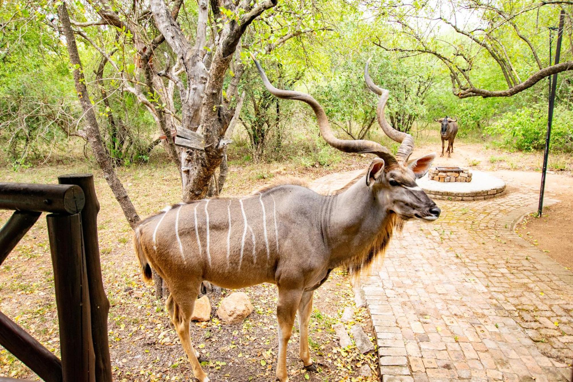 Adventure Bush House Vila Marloth Park Exterior foto